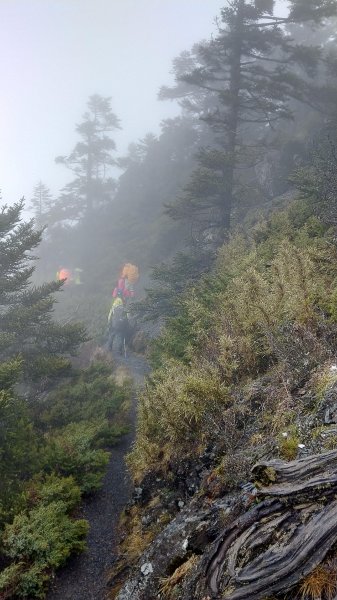 大霸群峰之旅596397