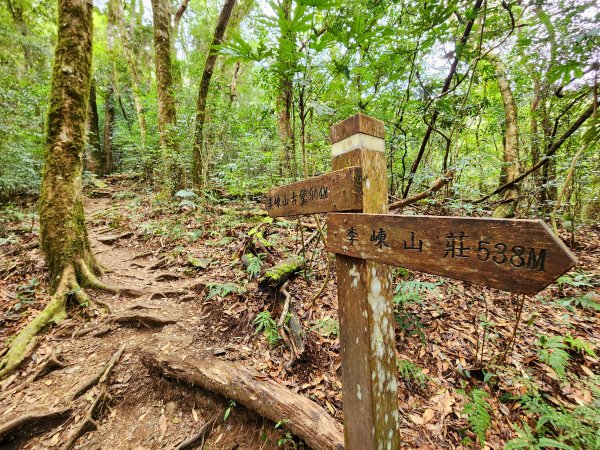 小百岳集起來-李崠山2183095