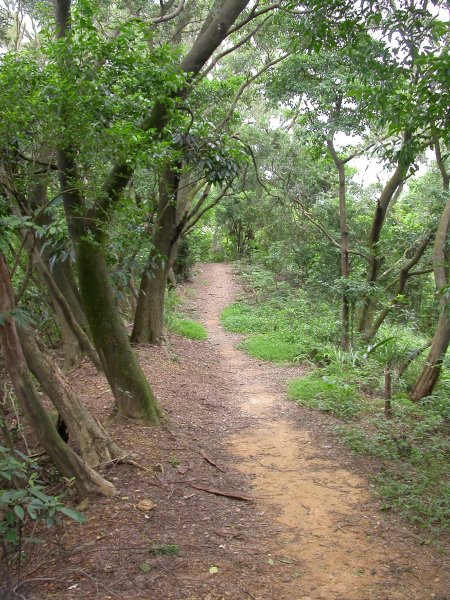 軍功山／中埔山1967231