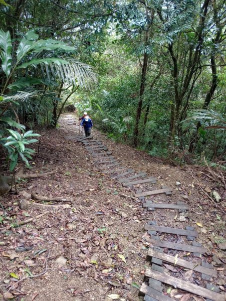 雷公埤山-鱷魚島觀景-小格頭獅頭山2001536