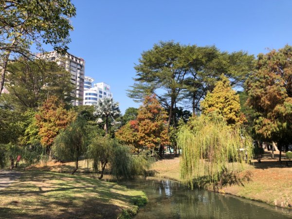 台南市東區巴克禮公園、彰化以南唯一小水準點高雄岡山大埔十四號1576473