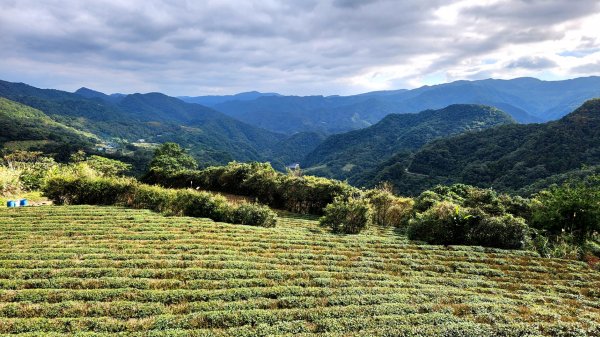 皇帝殿，坪林獅公髻尾山，文山指南宮千階步道（竹柏參道），十六分山，貓空尖，絹絲瀑布步道1971272