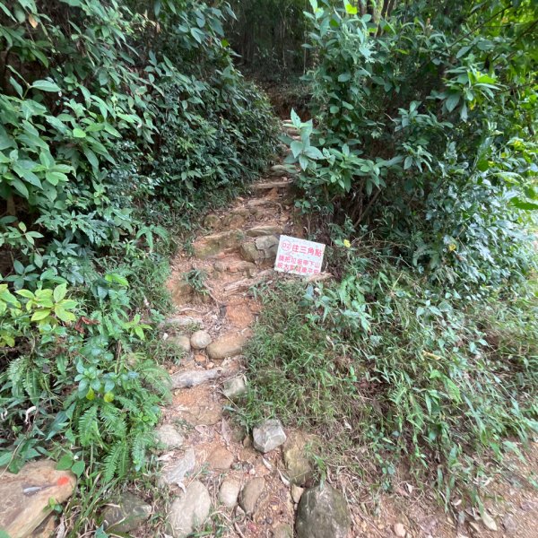 20251130_棚集山+斜坡上藝術節（屏東小百岳）2968625