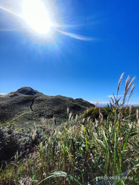 七星山二進2894954