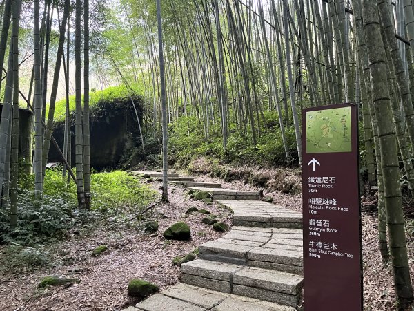 [嘉遊好步道．來嘉走走-04/10] 2024_1011 阿里山頂湖步道2624691