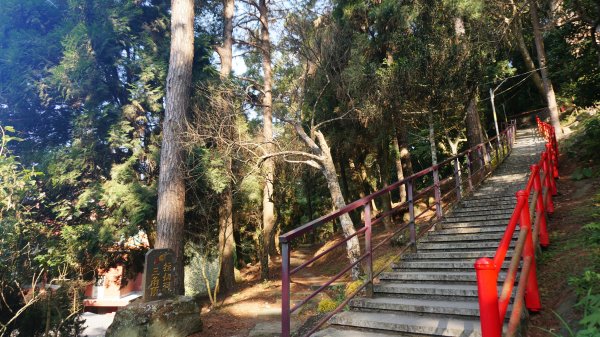 神仙縱走(仙山至神桌山)1252484