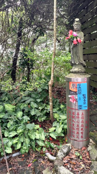 硬漢嶺1514314