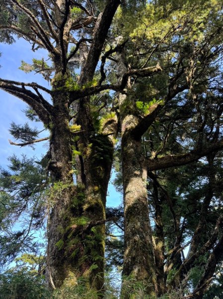 南湖中央尖-------北一段2868252