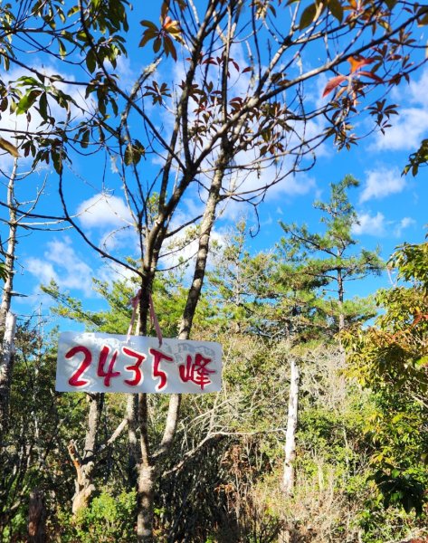 【中級山縱走】羅馬縱走，走進神木的夢幻童話森林世界2943188