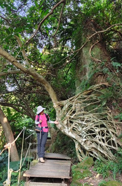 新店碧潭輕鬆走2991999