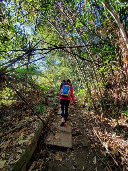 【苗粟 | 馬拉邦山】1227221