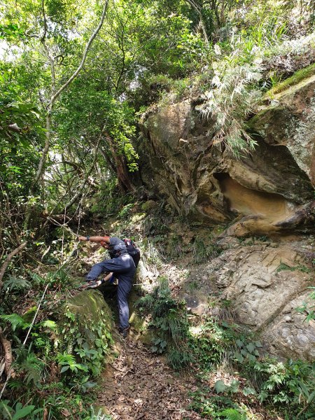 大橫屏山-冷門小百岳20191011702776