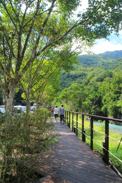烏來內洞森林遊樂區 20181021444469