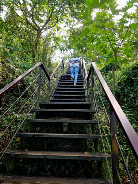 龍過脈森林步道-(雲林)臺灣百大必訪步道2661228