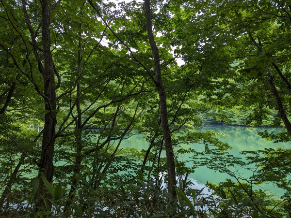 2023-06-14 十二湖（日本）2793196