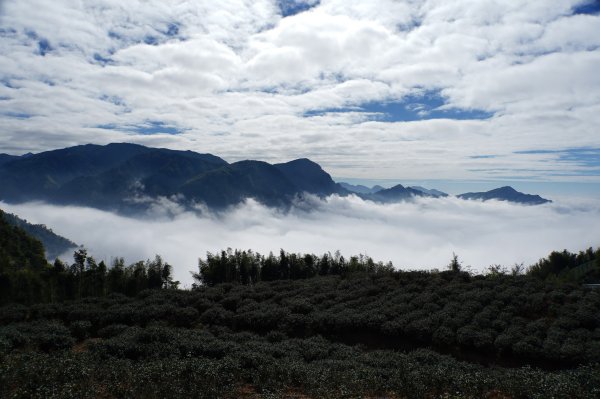 南投 鹿谷 龍鳳山、龍鳳峽山、三叉崙山、水桶寮山、內樹皮山、羊頭崙山、志騰山、竹崙山、溪頭山2962307