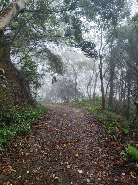 苗栗關刀山小百岳2649225