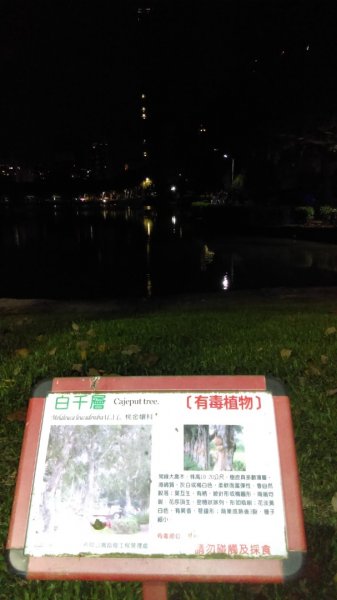 【台灣步道日】碧湖公園環湖步道的夜景987764