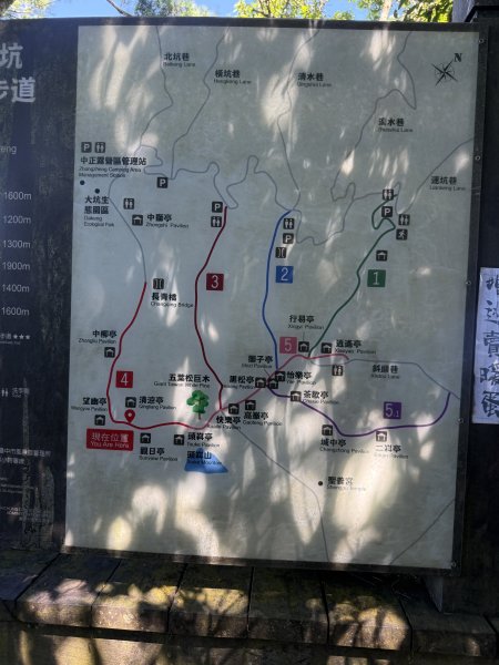85大坑4號3-1步道縱走11509063124589