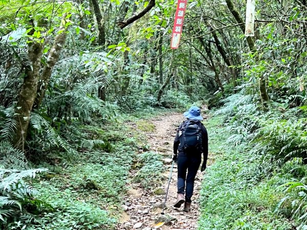 走過灣潭古道沁涼的夏天1806582