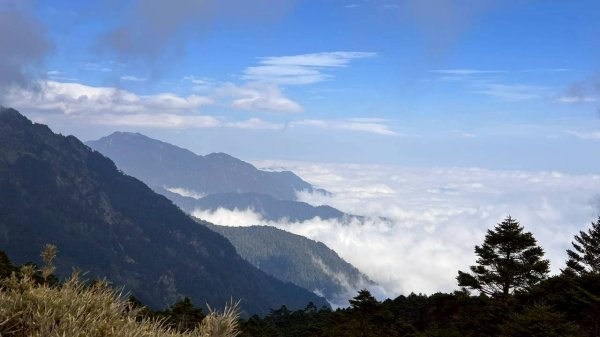 🌈2/26（五）-27（六）黃金大草原~奇萊南華2日✨FB：熊熊趴爬走🌈3008204