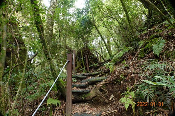 南投 仁愛 尾上山1569572