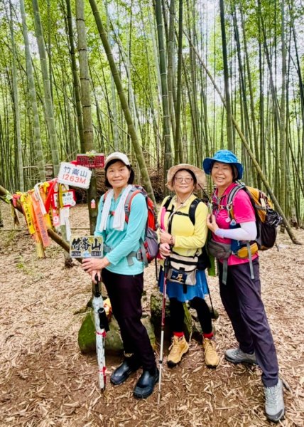 溪頭四秀(溪頭山>竹崙山>志騰山>快活林)走訪溪頭 訪好久不見的大學池3088877