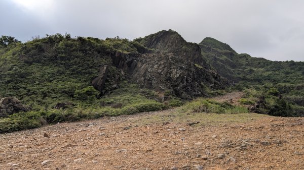 115.05.31燦光寮古道-草山-不厭亭之旅3067265