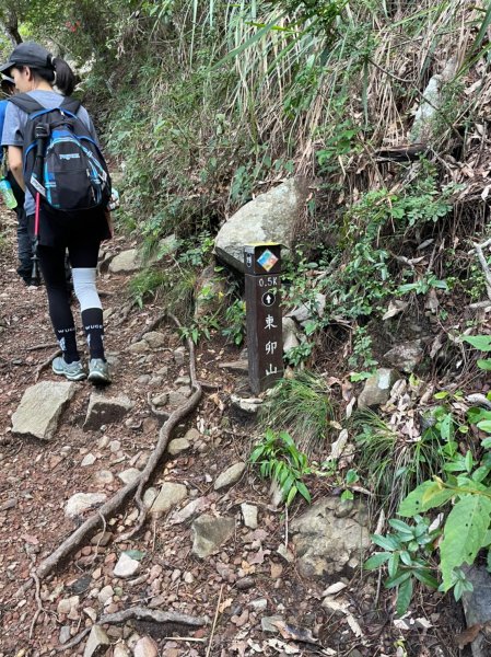 東卯山1750908