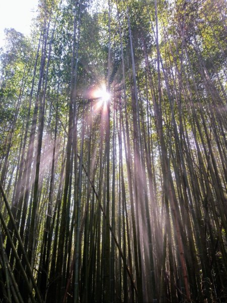 李崠山、泰平山、馬望僧侶山O走1211362