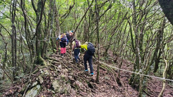 大混李棟山2816357