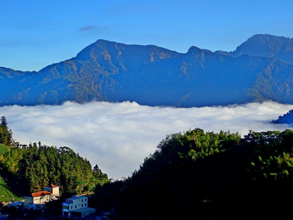 竹林饗宴--瑞太古道登雲戴山順走九芎坪山493546