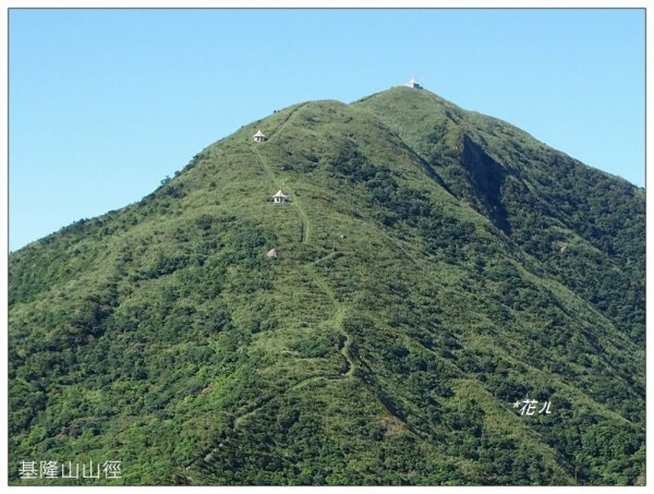 基隆山/石龍子 (新北、瑞芳)1756557