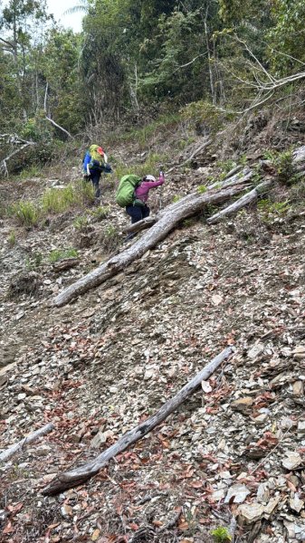 六龜警備線南段（藤枝-茂林）2天1夜2758270