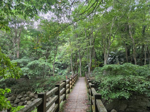 四十二份坪步道