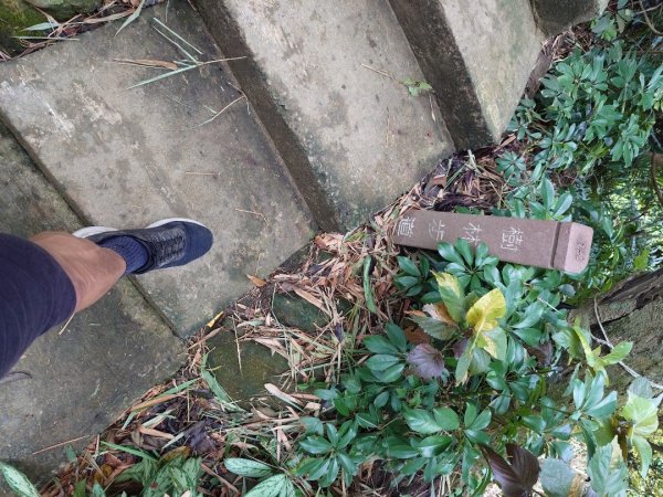 微笑山線之大棟山系2838143