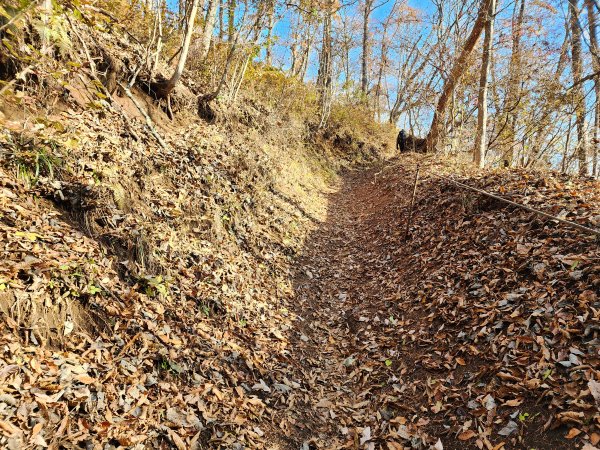 20251127陣馬山至高尾山2959070