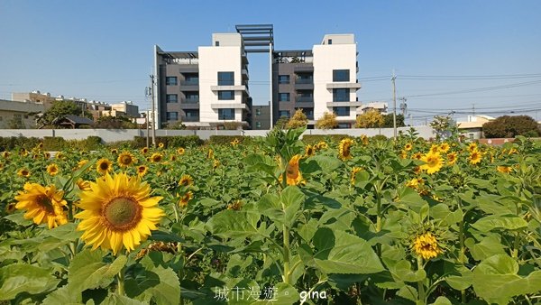 【彰化溪州】暖陽下散散步。 彰化溪州公園步道2046145