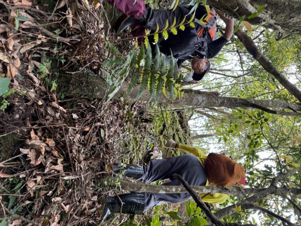 桂山路197巷 》呂奔山北峰 》呂奔山 》阿玉壩2755811
