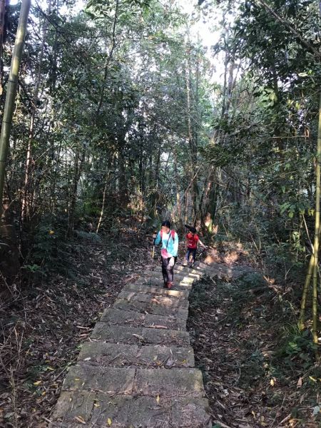 日月潭水社大山409232