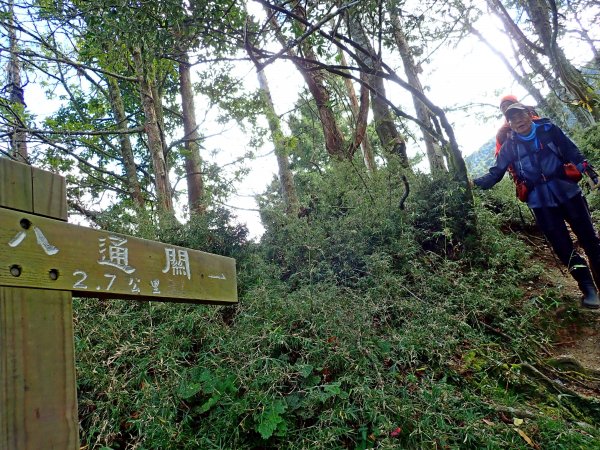 10年後重逢八通關山（八大秀未竟）467199