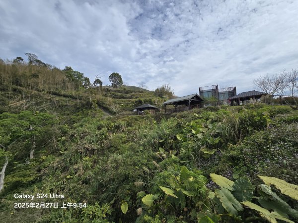 2025-02-27二延平步道2725406