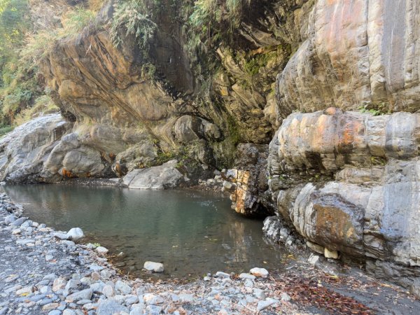 20250130 北港溪峽谷步道2702935