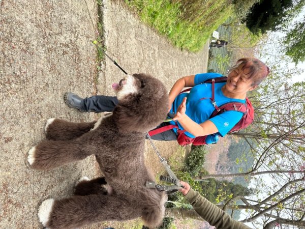 鵝公髻山（小百岳）鵝公髻山東北峰2449832