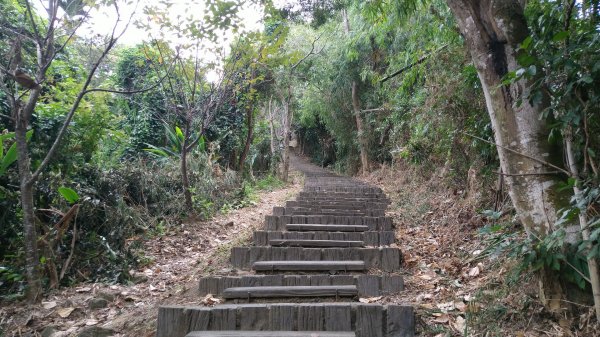 臺中 太平 三汀山、埤頭山1495917