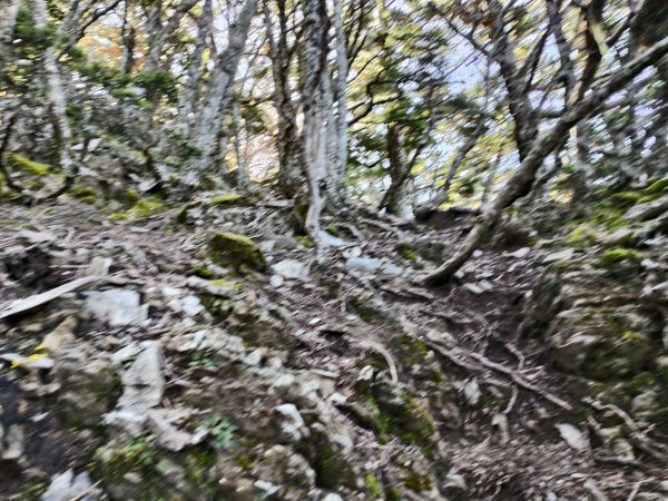 北一段(09/14)南湖東南峰 2025_0906~132887049