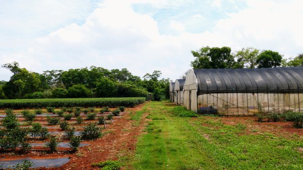 茶山步道,鎮南橋,鴉片菸潭,通學古道2602611