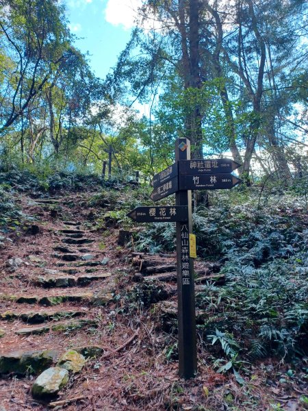 【台中和平】森林步道悠閒走。 八仙山森林遊樂區步道群2784598