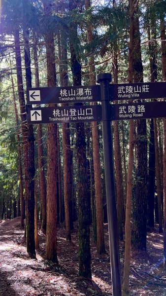 桃山、喀拉業2816808