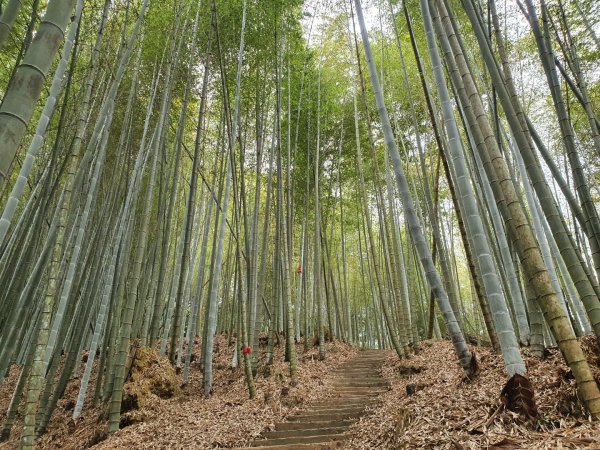 嘉南雲峰、石壁山登山步道（小百岳）1351695